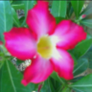 Meet your Posher, Jeanna